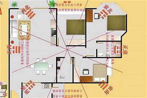 风水马头方向|马的摆放位置的图解 马头朝哪个方向好